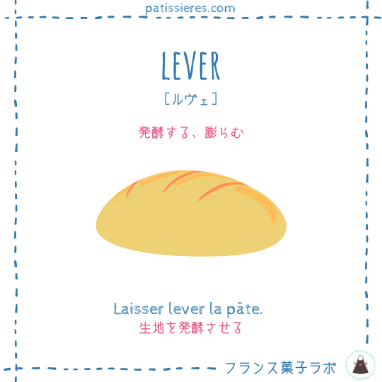 lever【発酵する、膨らむ】