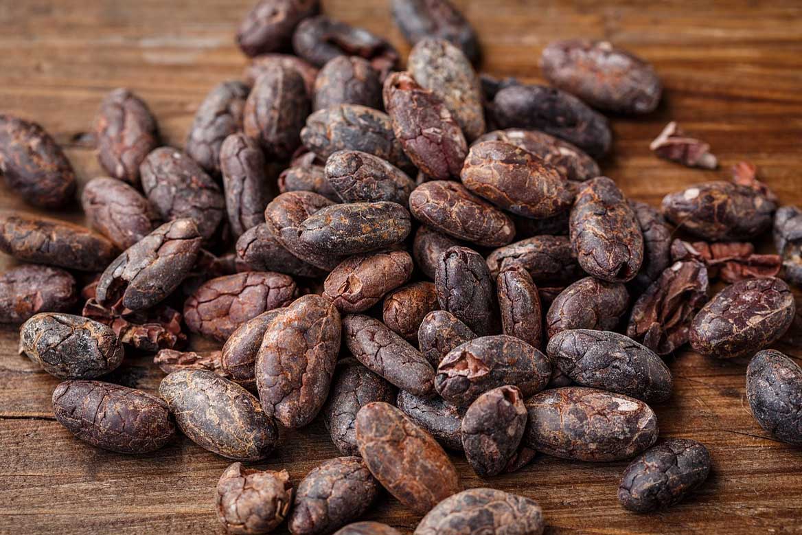 カカオの種類とフランスでのカカオマス由来の製品