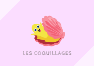 coquillages 貝類