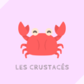 crustacés 甲殻類