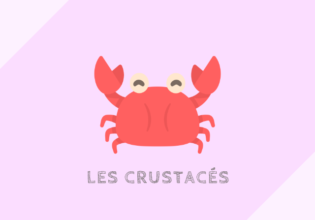 crustacés 甲殻類