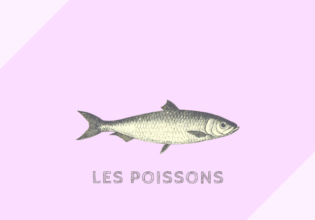 フランスの魚の分類［poisson］