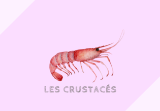 フランスの甲殻類の種類とレストランでの表記［crustacés］