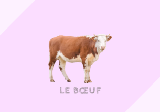 フランスの牛肉の種類と料理法［bœuf］