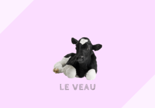 フランスの仔牛の定義と消費［veau］