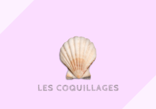 フランスの貝の種類と牡蠣の大きさ基準［coquillages］