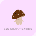 champignons きのこ