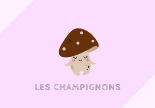 フランス料理につかわれるきのこ類のフランス語の名前［champignons］