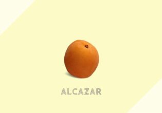 アルカザール Alcazar