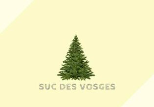 シュク デ ヴォージュ Suc des Vosges